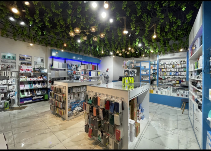 Electronic store - Mobiles and laptops