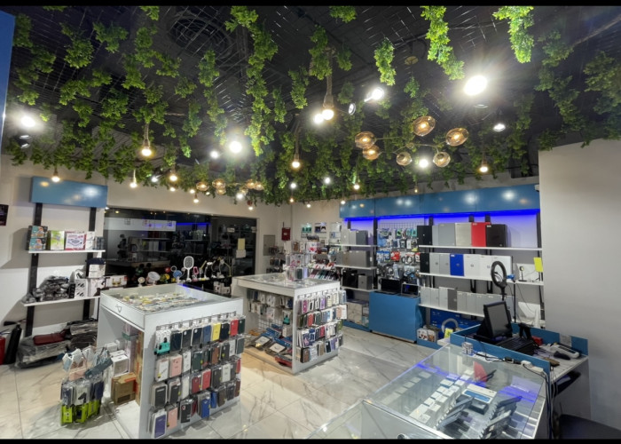 Electronic store - Mobiles and laptops