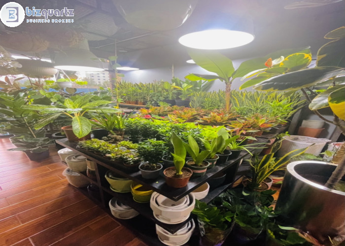 GREEN GARDEN FLOWERS AND PLANTS TRADING